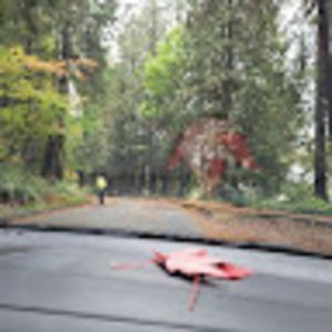 Meet your Posher, Aw